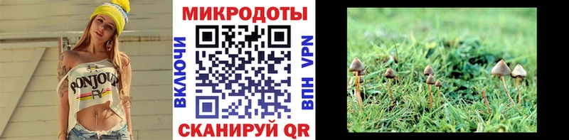 наркота Азнакаево Галлюциногенные грибы мухоморы