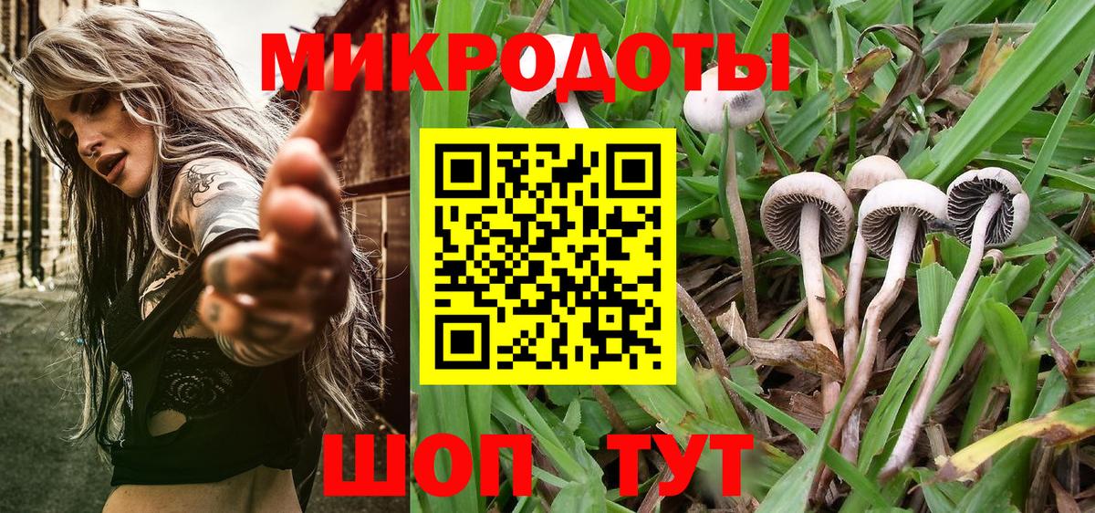 Галлюциногенные грибы GOLDEN TEACHER  Вход с VPN  Галлюциногенные грибы Psilocybine cubensis  Азнакаево 
